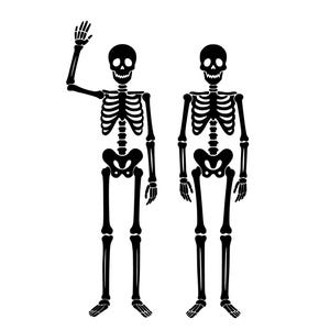 Könnte beinhalten: Zwei schwarz-weiße Skelettillustrationen. Ein Skelett winkt mit erhobenem rechtem Arm. Das andere Skelett steht mit den Armen an den Seiten. Beide Skelette haben einen Schädel, einen Brustkorb und Beinknochen.