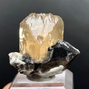 Rare Golden Colour Topaz Crystal With Quartz Combined Specimen From Skardu Mine,Topaz Specimen,Natural Topaz Raw Topaz Crystals .14 Grams
