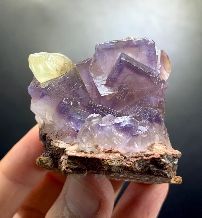 Puede incluir: Un grupo de cristales de fluorita c&uacute;bicos de color p&uacute;rpura transl&uacute;cido con un solo cristal amarillo p&aacute;lido unido en la parte superior izquierda. El esp&eacute;cimen mineral presenta bordes geom&eacute;tricos afilados y se asienta sobre una base de roca marr&oacute;n rugosa.