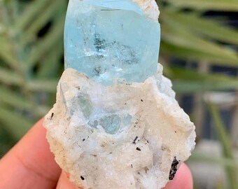 スカルドゥ産トルマリン含有天然アクアマリン双結晶標本。59gm - Etsy 日本