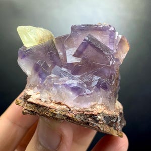 Puede incluir: Un grupo de cristales de fluorita c&uacute;bicos de color p&uacute;rpura transl&uacute;cido con una formaci&oacute;n de cristal amarillo p&aacute;lido en la parte superior, sobre una base de matriz mineral marr&oacute;n rugosa y texturizada con bordes cristalinos y facetas geom&eacute;tricas.