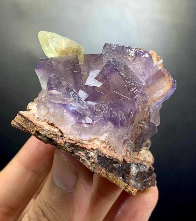 Puede incluir: Un grupo de cristales de fluorita c&uacute;bicos y transl&uacute;cidos de color p&uacute;rpura unidos a una matriz mineral rugosa de color gris parduzco. Un cristal &uacute;nico, alargado y de color amarillo p&aacute;lido, sobresale del lado superior izquierdo.