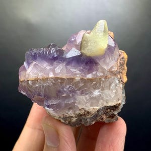 Puede incluir: Un esp&eacute;cimen mineral en bruto con cristales de amatista de color p&uacute;rpura intenso agrupados. Un cristal de calcita de color amarillo p&aacute;lido y liso se asienta de forma prominente sobre la formaci&oacute;n p&uacute;rpura, unida a una base de roca marr&oacute;n, rugosa y terrosa.