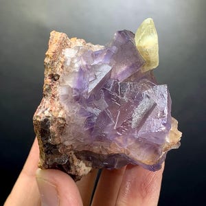 Puede incluir: Un grupo de cristales de fluorita c&uacute;bicos y transl&uacute;cidos de color violeta unidos a una matriz rocosa rugosa de color beige. Un cristal &uacute;nico, alargado y de color amarillo p&aacute;lido, sobresale del lado superior derecho.