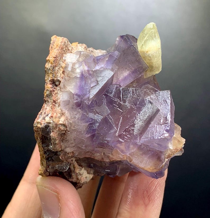Puede incluir: Un grupo de cristales de fluorita c&uacute;bicos y transl&uacute;cidos de color violeta unidos a una matriz rocosa rugosa de color beige. Un cristal &uacute;nico, alargado y de color amarillo p&aacute;lido, sobresale del lado superior derecho.
