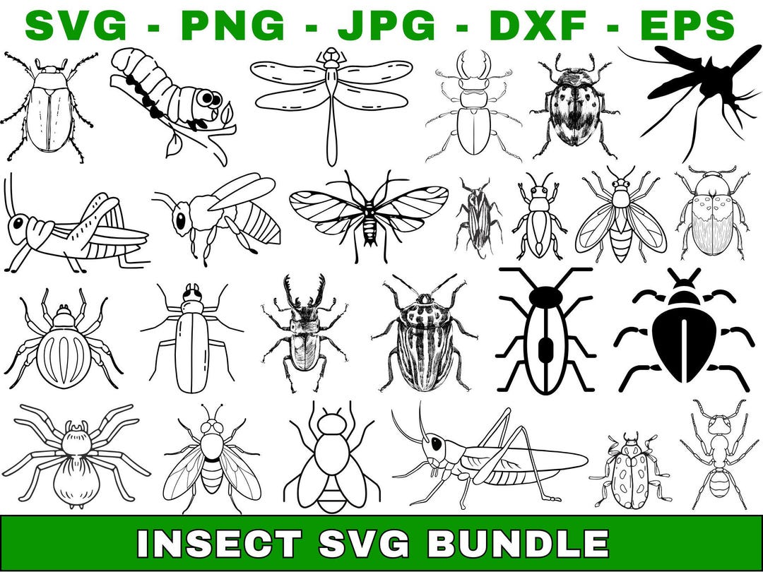 Insects Racing Svg Insect SVG Bundle, Insect PNG Bundle, Insect Clipart, Insect Svg ...