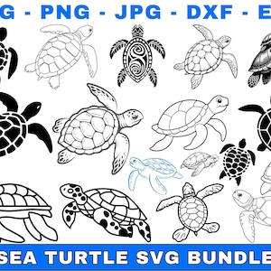 TURTLE SVG, Sea Turtle Svg,  Sea Turtles DESIGNS Clipart, Turtle Svg files for Cricut, tortoise svg, Turtle png, turtle silhouette cricut