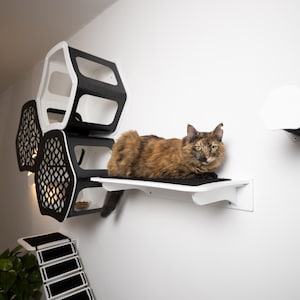 Può includere: Un sistema a parete per arrampicata per gatti in bianco e nero. Il sistema include mensole esagonali, una cuccia e una scala. Un gatto marrone e nero è sdraiato su una mensola. Misure in cm.