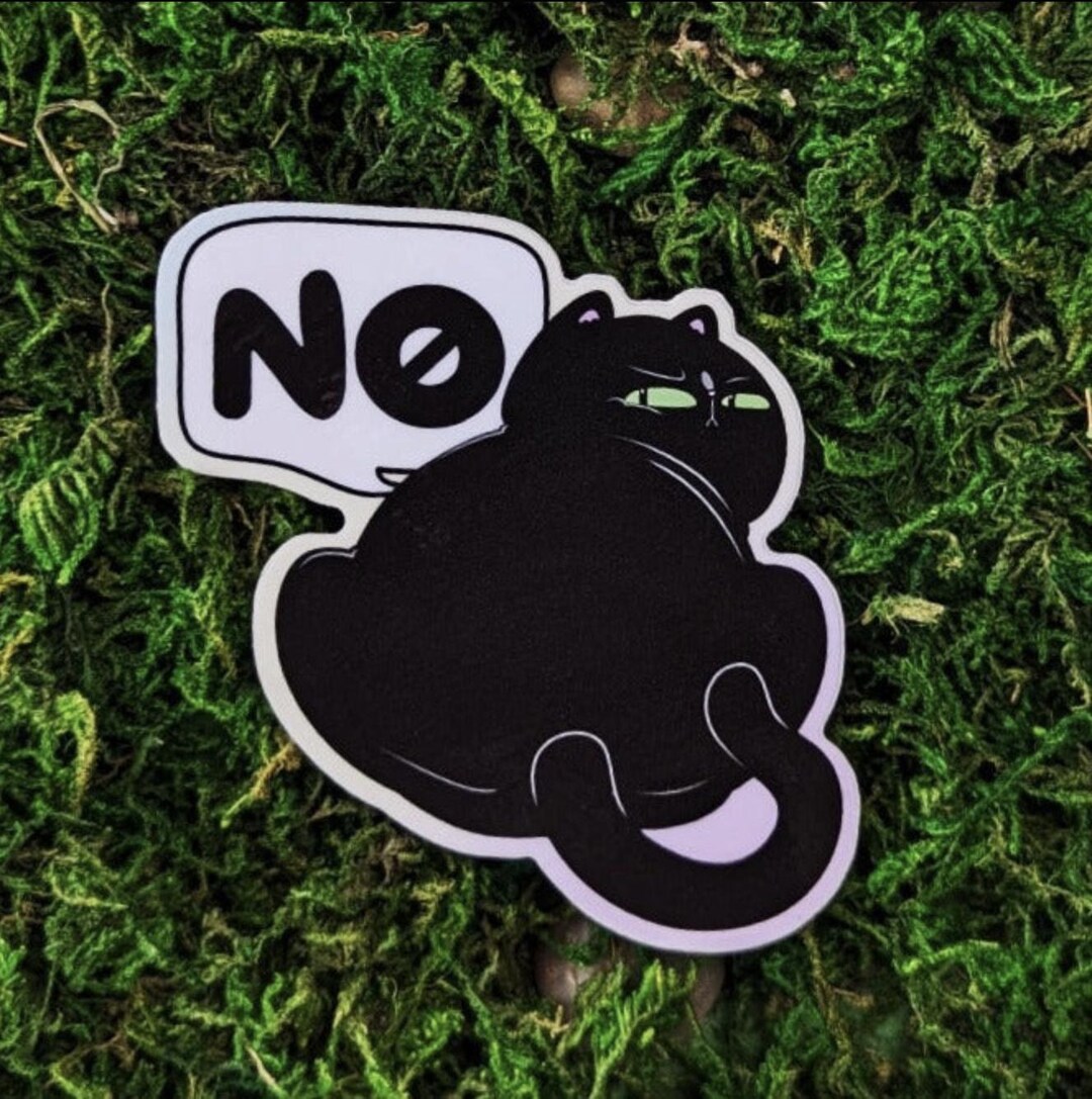 No Cat Sticker - Etsy