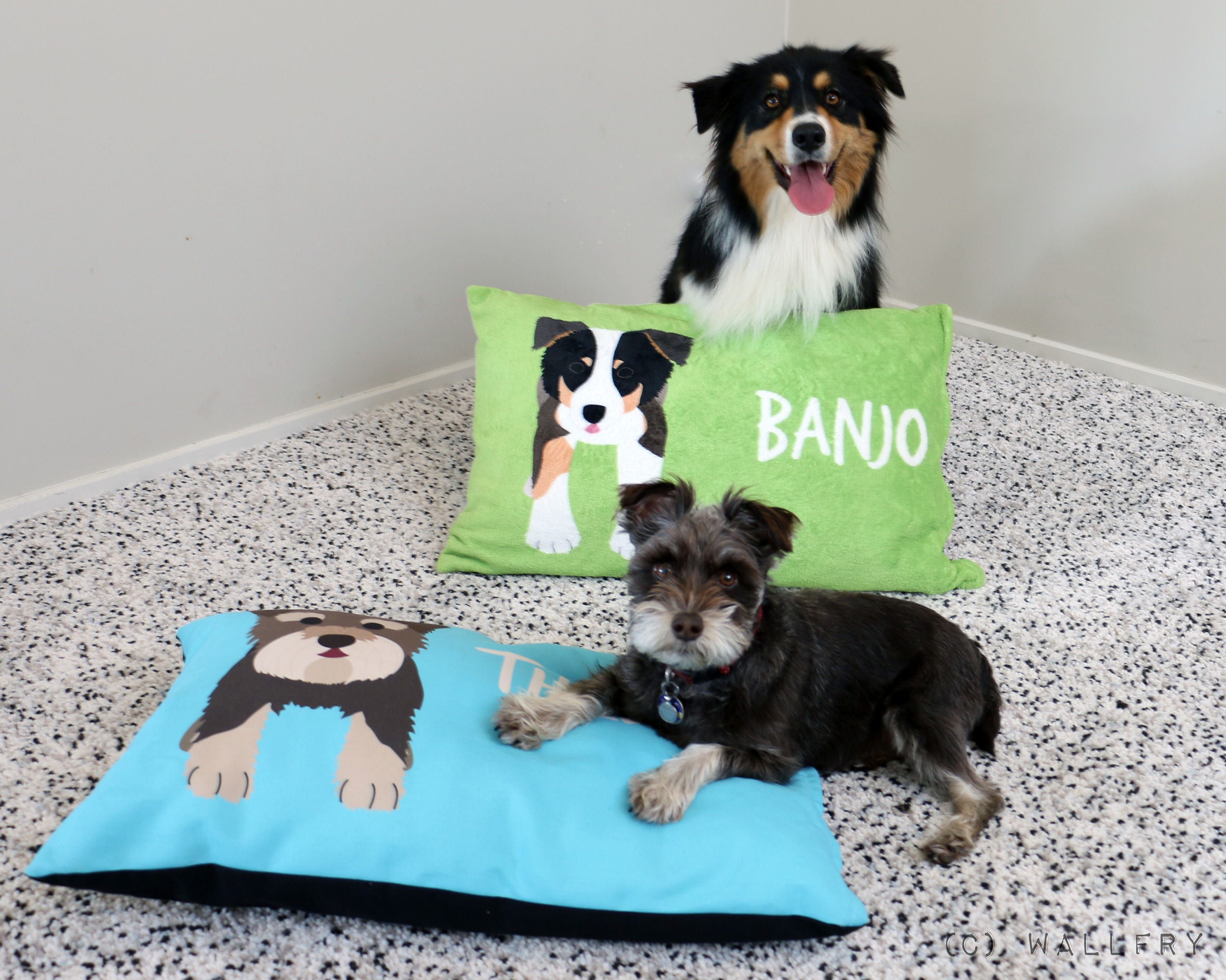 Two Extra Large Dog Pillows. All Sizes Custom Personalized Etsy