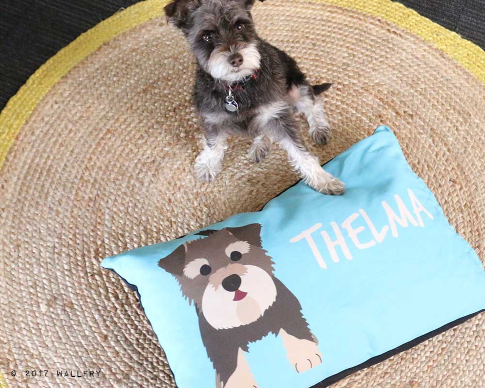 Two Extra Large Dog Pillows. All Sizes Custom Personalized Etsy