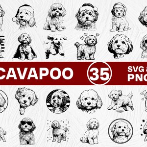 May include: A collection of 35 Cavapoo dog illustrations in black and white. The images include various poses and accessories, such as hats and sunglasses. The text "CAVAPOO" is displayed in large, bold letters, with "SVG & PNG" below.