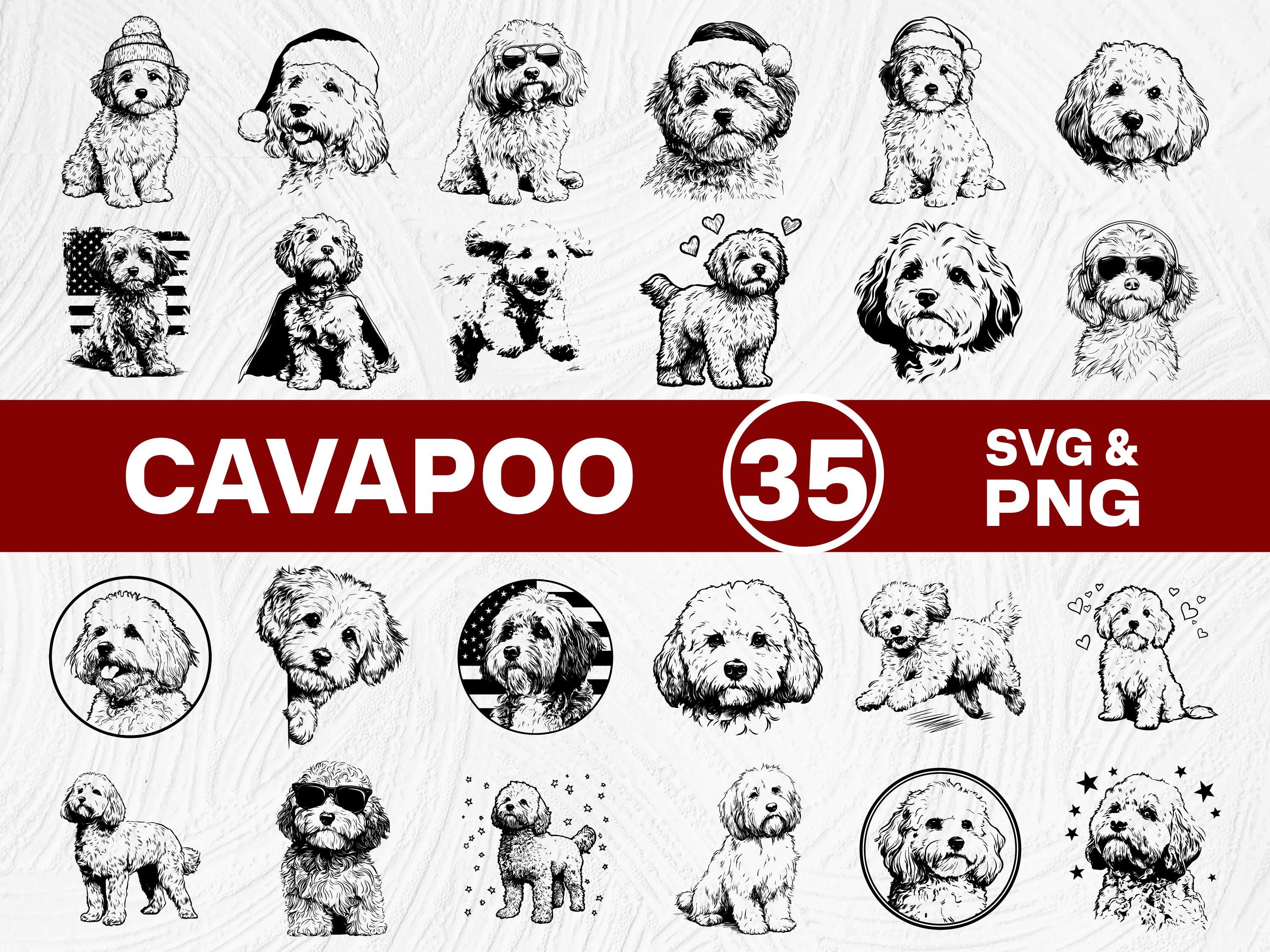 Cavapoo Silhouette SVG PNG Bundle, Cute Puppy Clipart, Dog Lover Cut ...