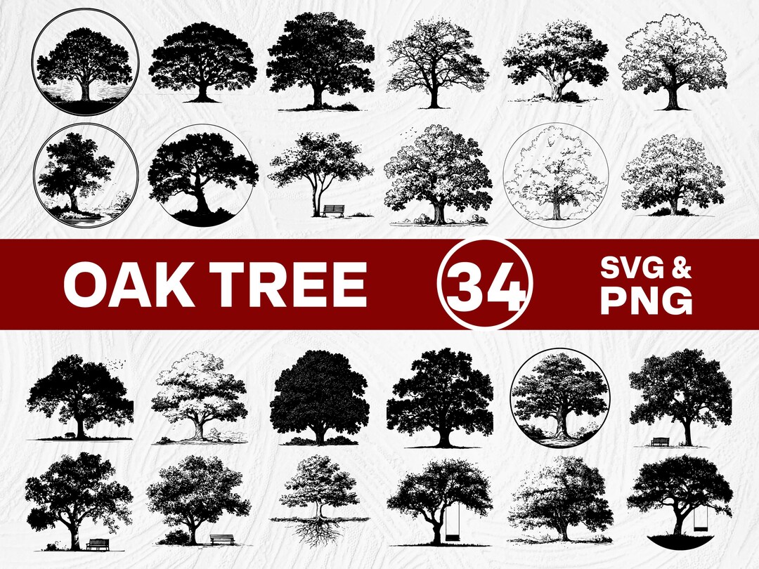 Oak Tree SVG PNG Bundle, Majestic Woodland Tree Clipart, Cricut Cut ...