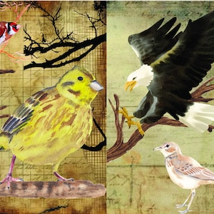 Bird Junk Journal Kit Printable | Vintage Bird Ephemera | Digital Nature Scrapbook Pages | Instant Download