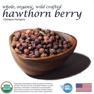 Organic Hawthorn Berry Whole Dried Crataegus Monogyna Premium 4oz Herbal