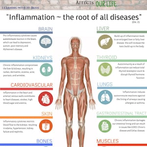 Peut inclure: Une infographie illustrant comment l'inflammation affecte différentes parties du corps, notamment le cerveau, les reins, le foie, la thyroïde, les poumons, la peau, les os et les muscles. L'infographie présente un corps humain avec des zones mises en évidence représentant chaque système d'organes. Le texte explique comment l'inflammation peut contribuer à diverses conditions de santé.