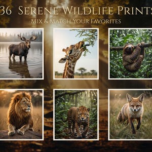 May include: A collection of six wildlife prints featuring a moose in water, a giraffe eating leaves, a sloth on a branch, a lion, a leopard, and a fox. The text "36 Serene Wildlife Prints" is at the top.