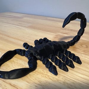 Scorpion