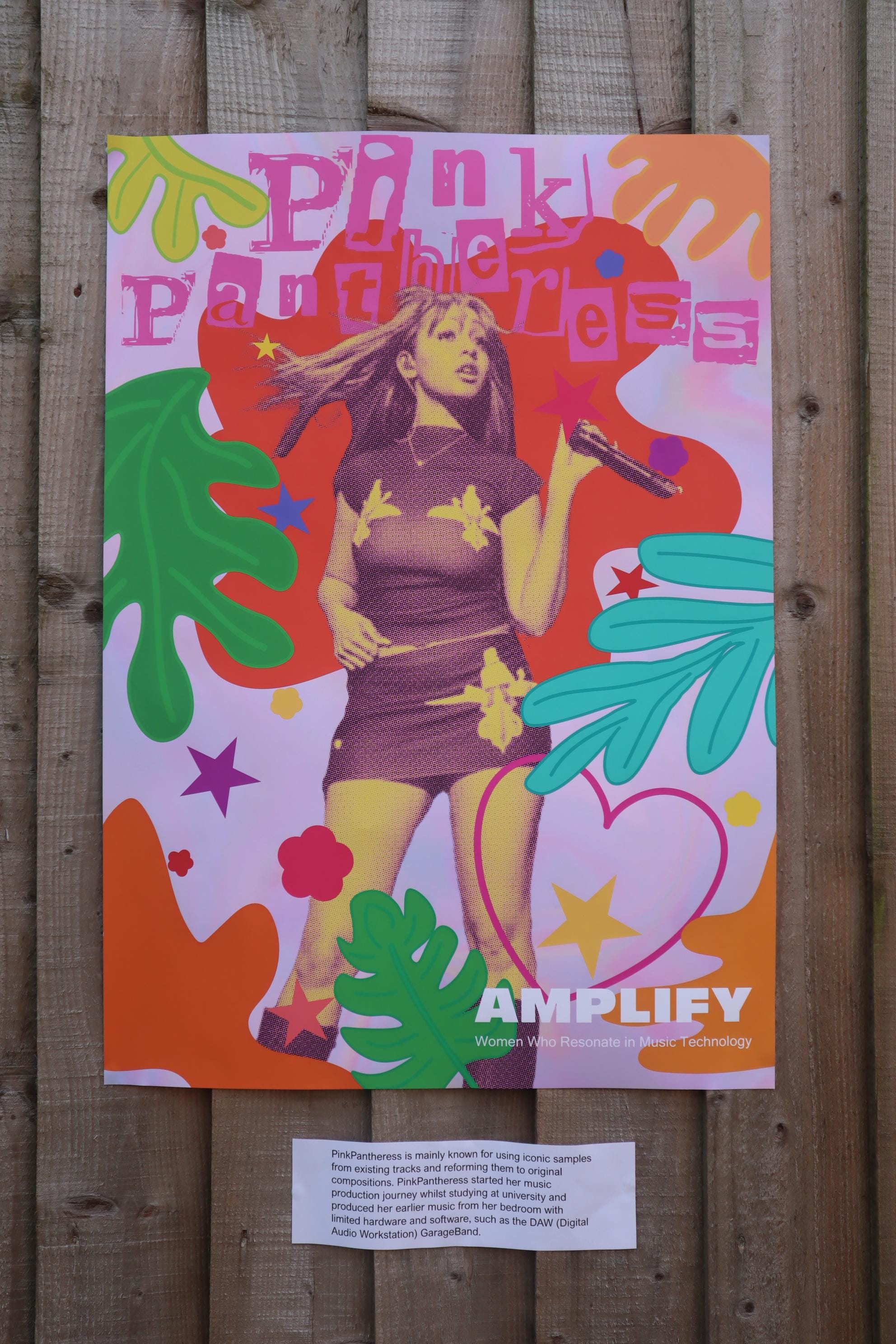 AMPLIFY Pinkpantheress Classic Matte Paper Poster A2 - Etsy