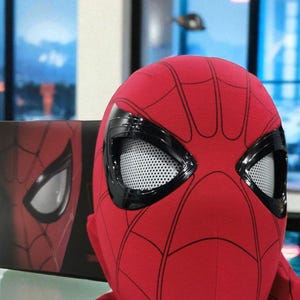 Puede incluir: Una m&aacute;scara roja de Spider-Man con telara&ntilde;as negras y marcos de ojos negros. Los ojos tienen un material de malla blanca. Una caja con una imagen similar est&aacute; a la izquierda. La m&aacute;scara es un disfraz de superh&eacute;roe.
