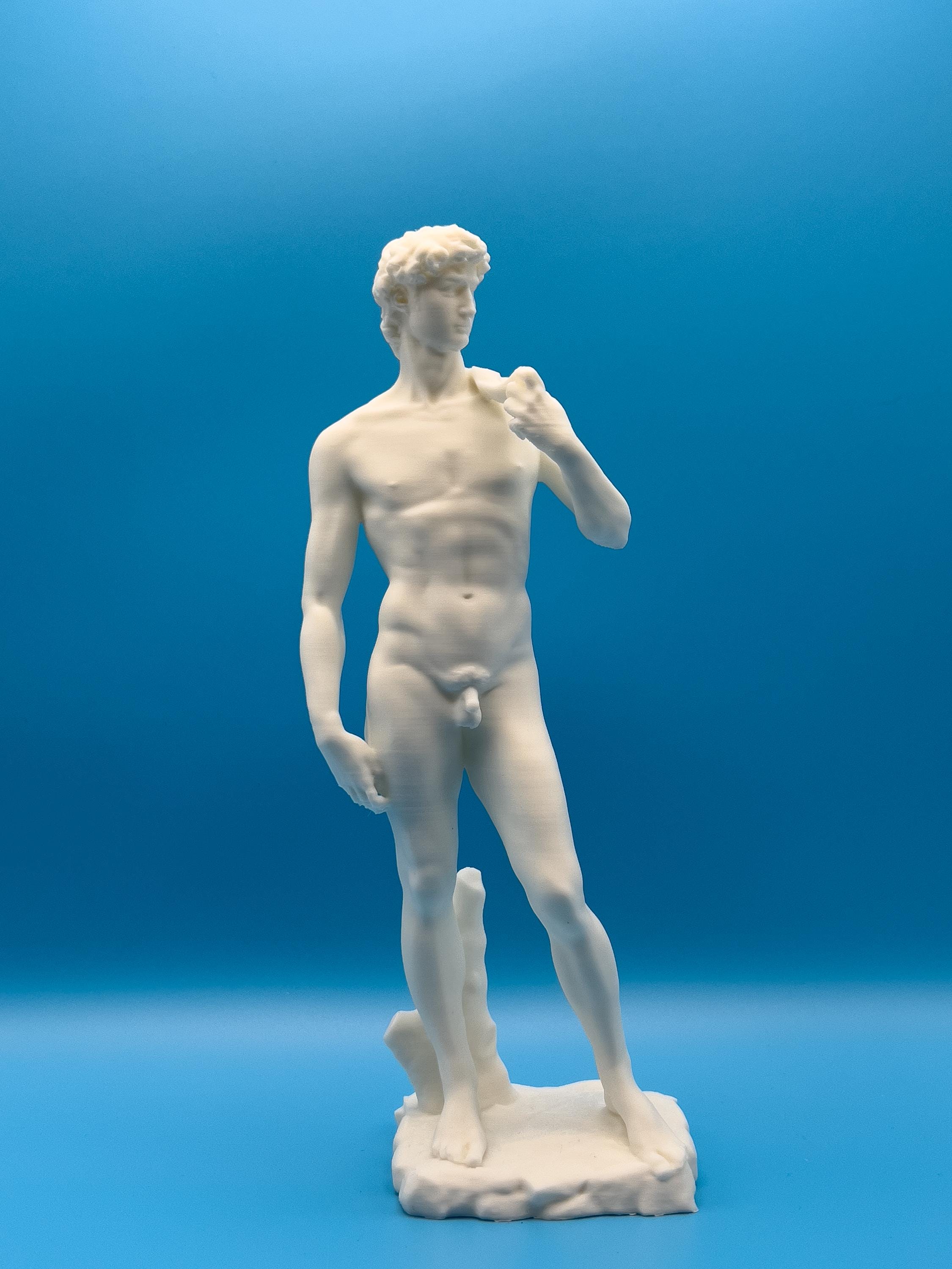 ミケランジェロのダヴィデ像 – 3Dプリントされたルネサンス期の古典