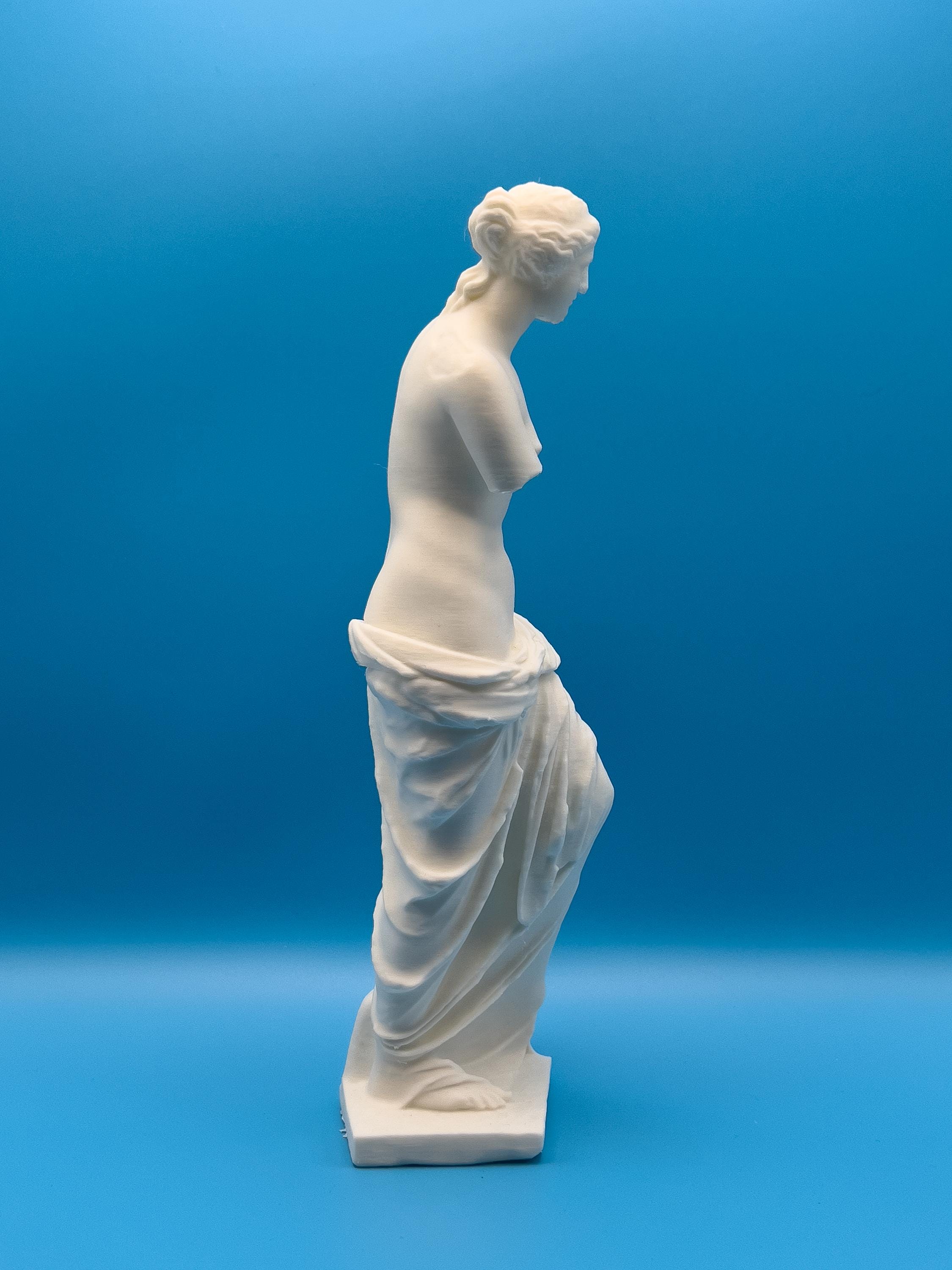 ミロのヴィーナス像 – 3Dプリントされたギリシャの女神像 | 古典美術