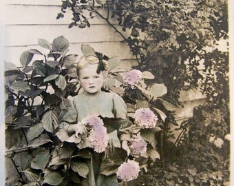 Vintage Tinted Digital  Image of Little Girl with Hydrangea Flowers