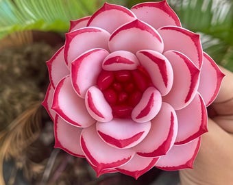 Echeveria Doris Taylor Succulent Meridian Handmade Meaty Plants, Polymer Clay, Haworthia Cooperi Succulent, Faux Plant,Creative Gift for Her