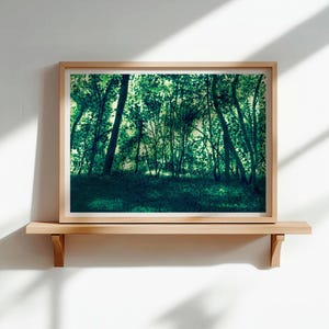 Dipinto paesaggistico raffigurante una foresta incantata, ideale per la decorazione murale.