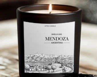 Mendoza Argentina Surprise Trip Candle Smells Like a Trip to Argentina Gift Home Decor Buenos Aires Vacation Souvenir Trip Wine Country