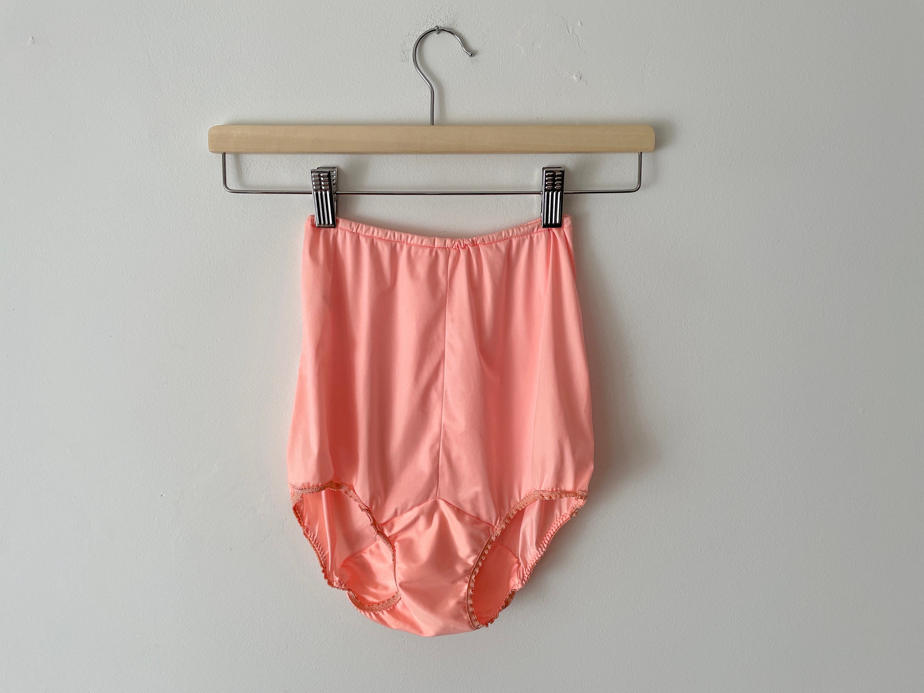 Vintage Retro Pink Panties Briefs Underwear Lingerie Large 1960s 70s Mod  Undergarments Cou-batten Acetate Intimate Boudoir Gift Collectible -   Canada