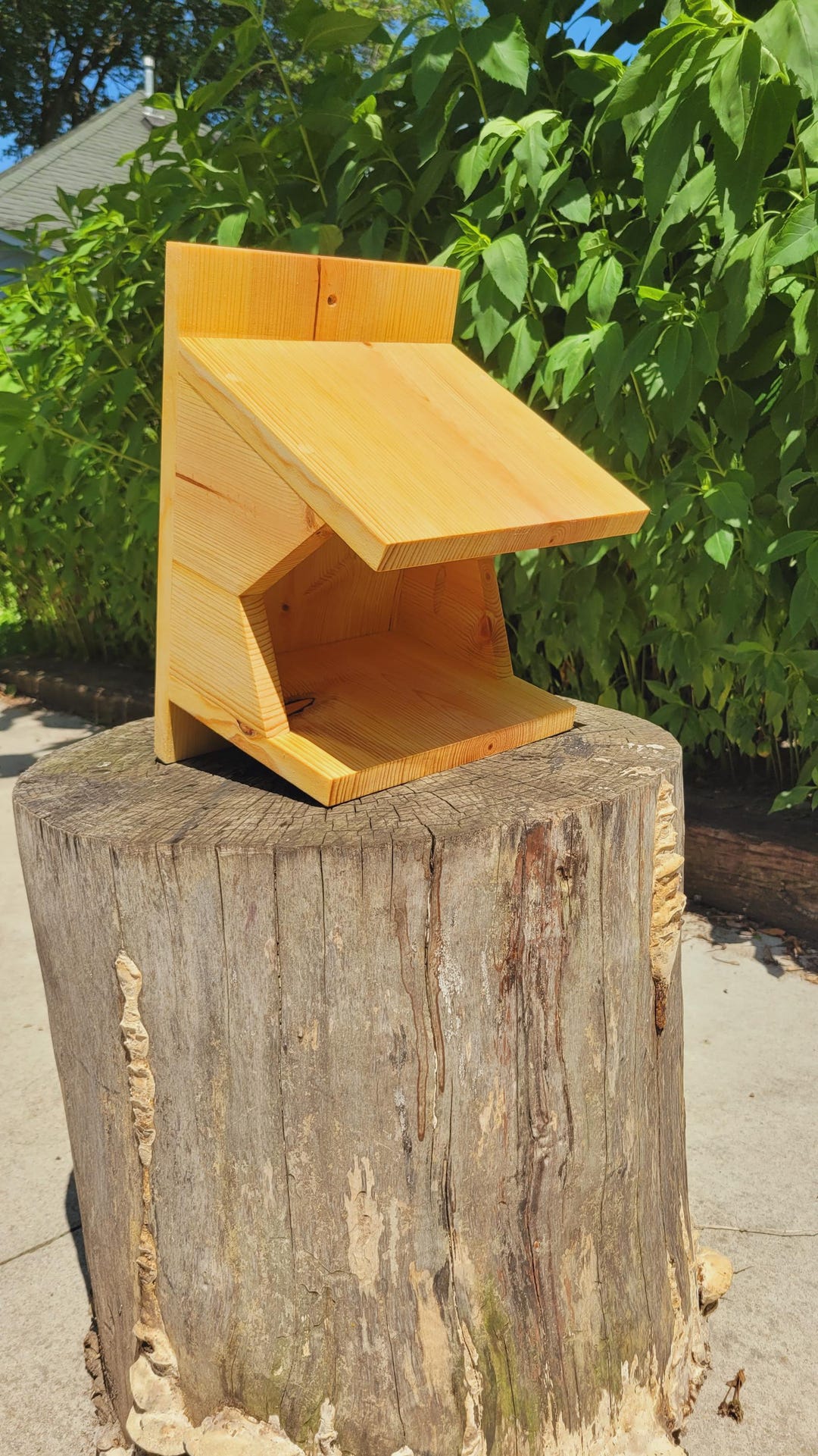 American Robin, Barn Swallow, Pheobe Nest Box - Etsy