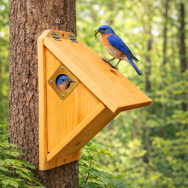 Cedar Birdhouse - Entry Hole Size Options