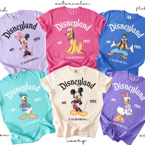 Puede incluir: Seis camisetas coloridas con dise&ntilde;os de Disneyland. Cada camiseta muestra un personaje diferente de Disney, el logotipo de Disneyland y el a&ntilde;o 1955. Los colores incluyen orqu&iacute;dea, sand&iacute;a, azul cielo, espuma de mar, marfil y violeta.