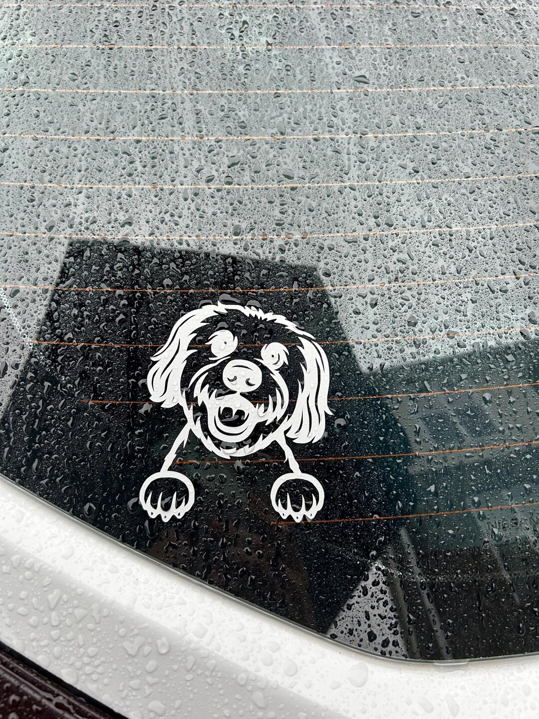 Photo inspiration: Visual Reference: Custom Pet Decal