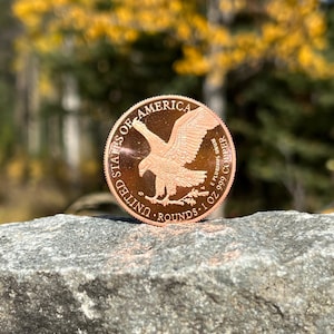1 oz Copper Round .999 Fine • American Eagle Walking Liberty Coin • Pure Copper Bullion • Collectible Coin • Bundle Packs • Encapsulated