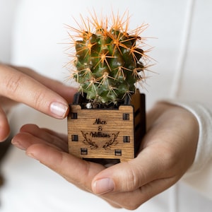 Mini pot for succulents, Personalized succulent pot, Wedding favors succulents pots, Wedding party favors for guests, Mini flower pots