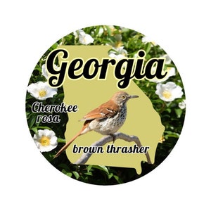 Estado de Georgia con pájaro y flor estatal Pegatina