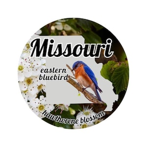 Estado de Missouri con el pájaro y la flor del estado Pegatina