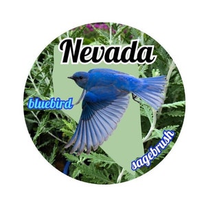Autocolante Estado de Nevada com pássaros e flores do estado