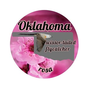 Estado de Oklahoma con pájaro y flor del estado Pegatina