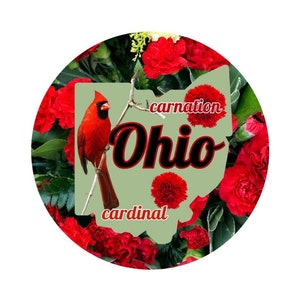 Estado de Ohio con pájaro y flor del estado Pegatina