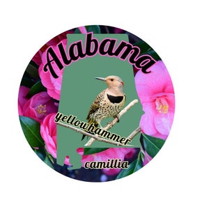 Estado de Alabama con pájaro y flor estatal Pegatina
