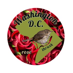 Pegatina de Washington D.C. con pájaro y flor del estado Pegatina