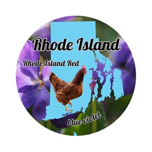 Rhode Island State mit Staatsvogel und Blumenaufkleber