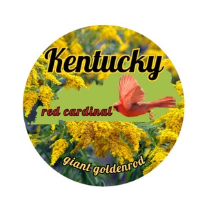 Estado de Kentucky con pájaro y flor del estado Pegatina