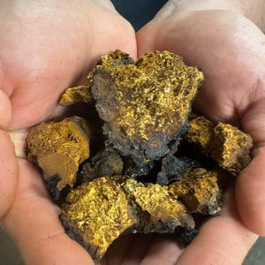1lb Wild Chaga Chunks VT