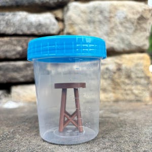 May include: A clear plastic container with a blue lid, containing a small brown wooden stool. The container has graduated markings in millilitres. The stool has a round seat and four angled legs with an X-shaped support.
