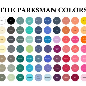 DEPARTAMENTO DE POLÍCIA DE ZOOTOPIA - Camiseta com a bandeira da linha azul fina do chefe Bogo - Parques da Disney, Disney World, Disneylândia Camiseta de algodão com estampa gráfica imagem 10